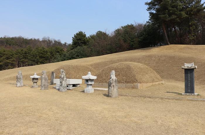 묘 이미지