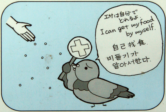 만취한 나도 집은 제대로 찾는 것처럼.jpg | 인스티즈