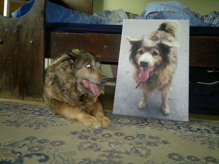 276196355602AC0517F276