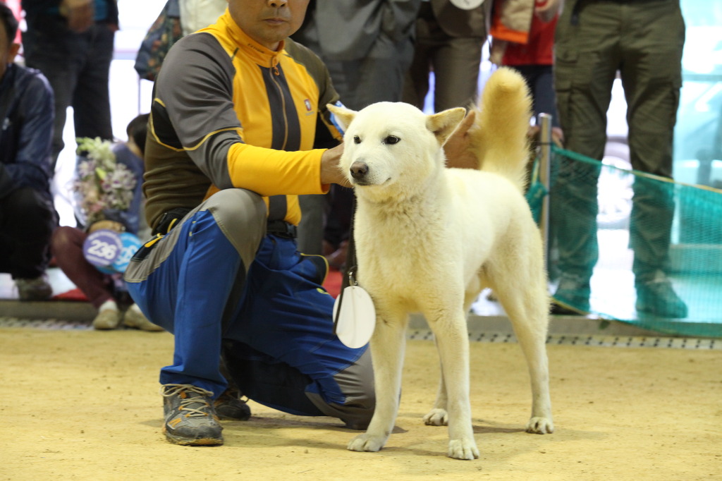 야미 이미지