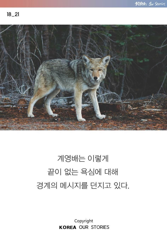 276A223655CC5FE4391E8A