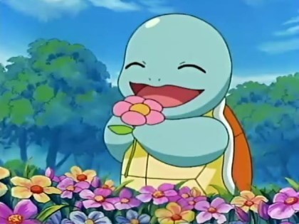 데이터주의) 꼬부기 짤 대방출 | 인스티즈