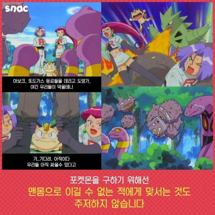 포켓몬의 진짜 주인공 | 인스티즈