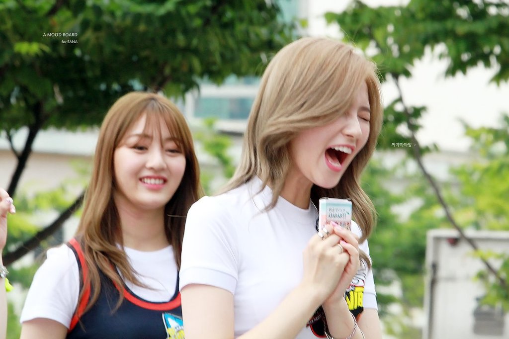 살찔 기미가 보이는 사나.jpg | 인스티즈