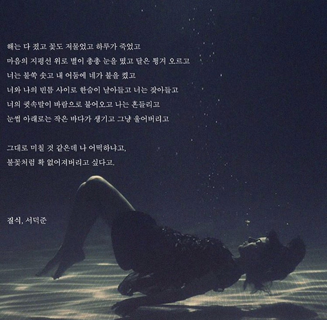 해는 다 졌고 꽃도 저물었고 하루가 죽었고 마음의 지평선 위로 별이 총총 눈을 떴고 달은 튕겨오르고 | 인스티즈