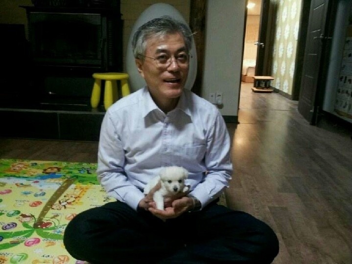 문재인과 강아지.jpg | 인스티즈