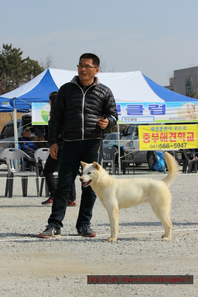 은옥 이미지