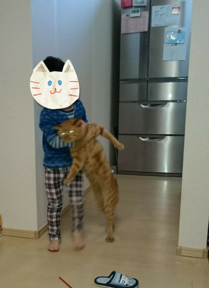 망한 고양이 사진대회.JPG | 인스티즈
