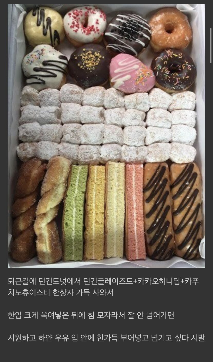 디씨 당뇨병 환자의 음식 묘사 수준 ㄷㄷㄷ.jpg | 인스티즈