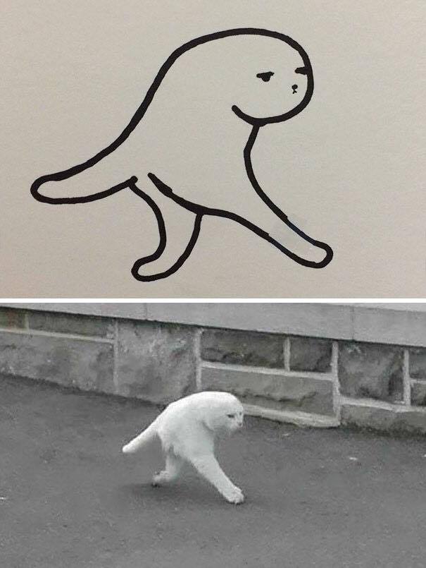 세상에 이렇게 생긴 고양이가 어딨음??..jpg | 인스티즈