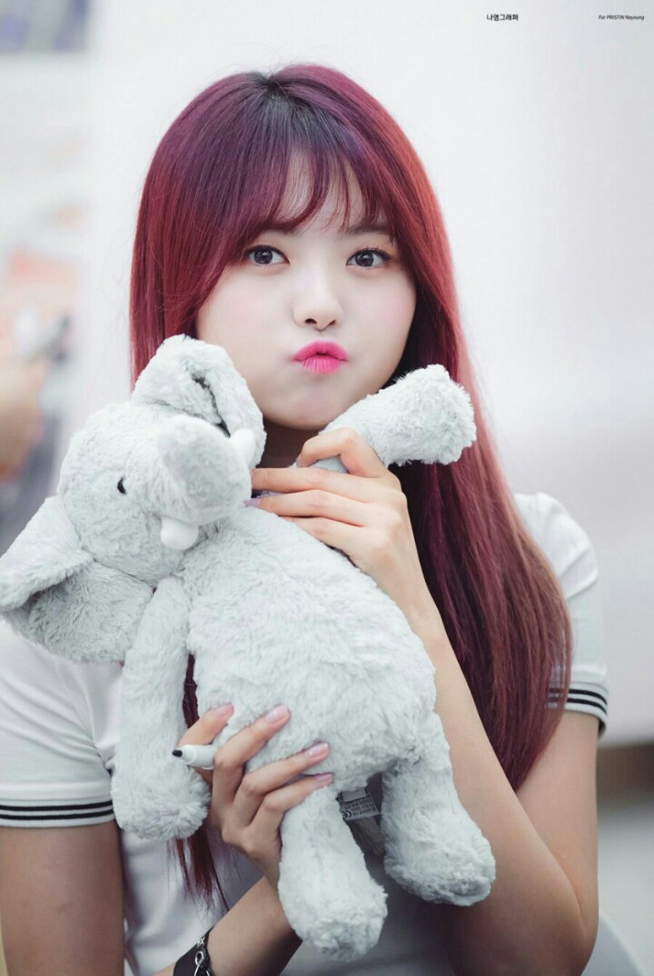 프리스틴 임나영 | 인스티즈
