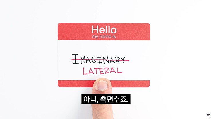  허수의 존재 이유.jpg | 인스티즈