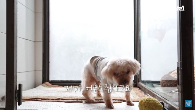  사람들이 홍대에서 인형을 뽑다 우는 이유는? | 인스티즈