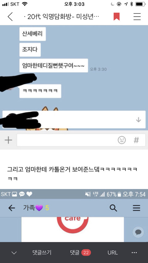 [익웃] 댕댕이가 어머님이 키우시는 산세베리아 뜯어먹음 | 인스티즈