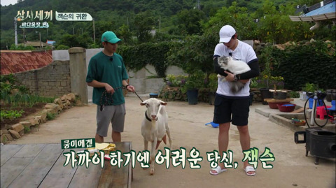 [삼시세끼] 처음 본 잭슨 때문에 놀라서 귱집사 팔 꼬옥 붙드는 고양이 쿵이.gif | 인스티즈