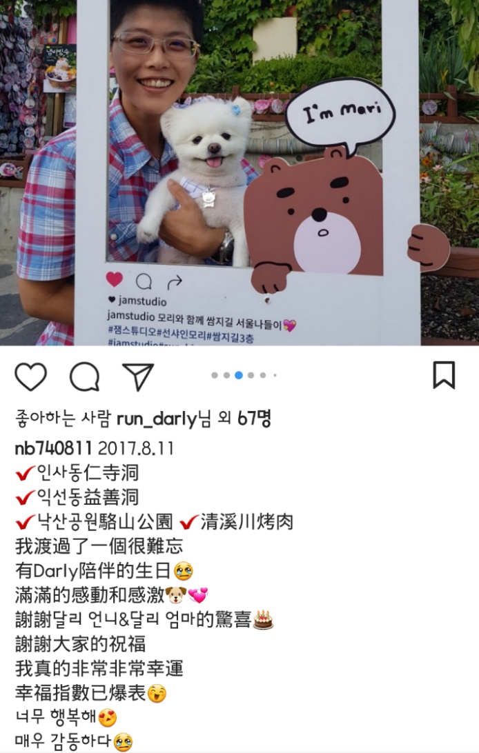 대만사람까지 꼬시고 다니는 한류 스타 강아지 달리 | 인스티즈