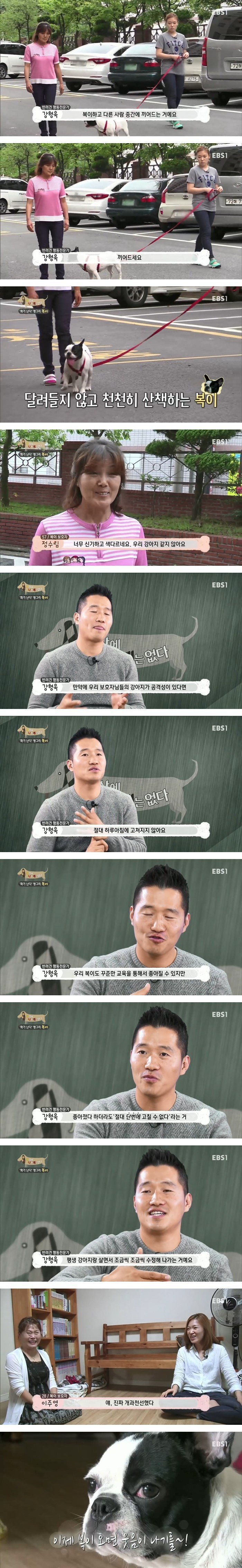 강형욱의 사람 무는 개 훈련법 | 인스티즈