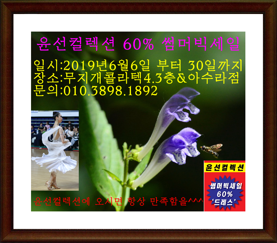 윤컬렉션 이미지