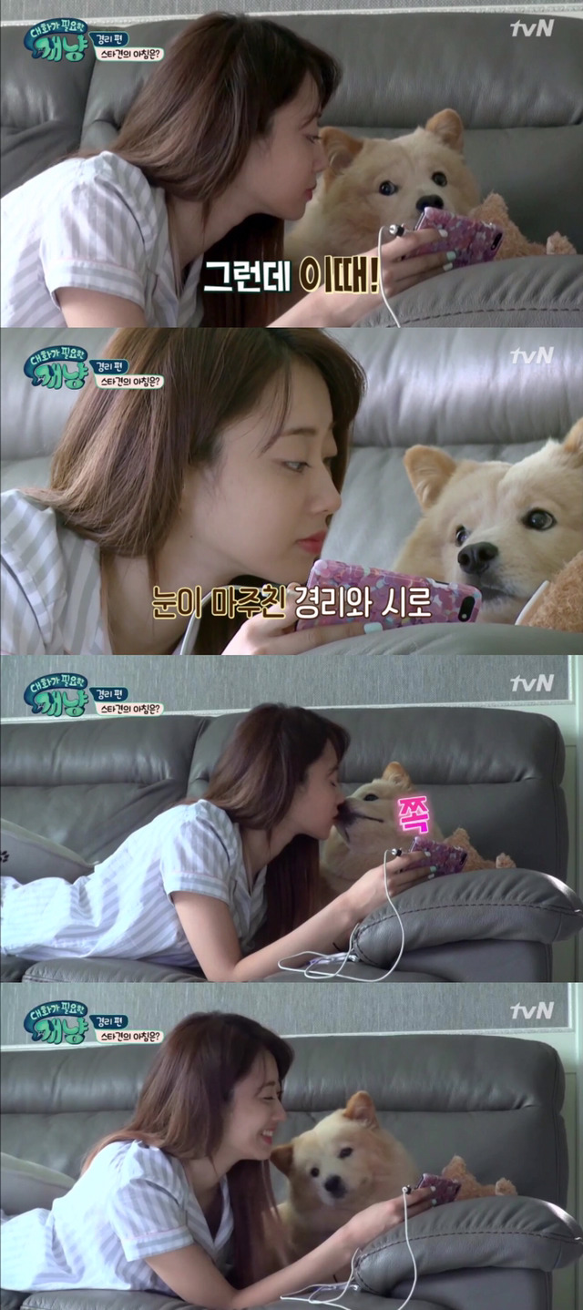 [대화가필요한개냥] 나인뮤지스 경리와 사랑스러운 반려견 시로.jpg | 인스티즈