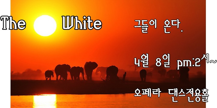 화이트 오페라 이미지