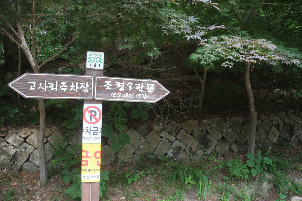 영강송어회 이미지