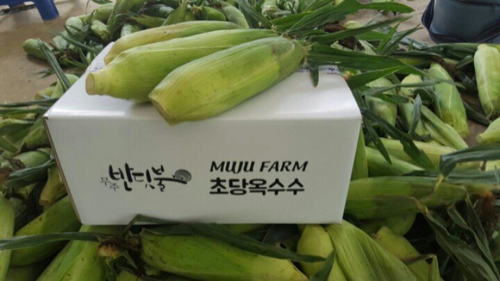 반딧불농장 이미지