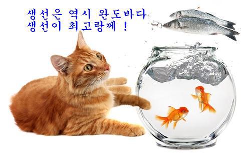 생선이야기 이미지