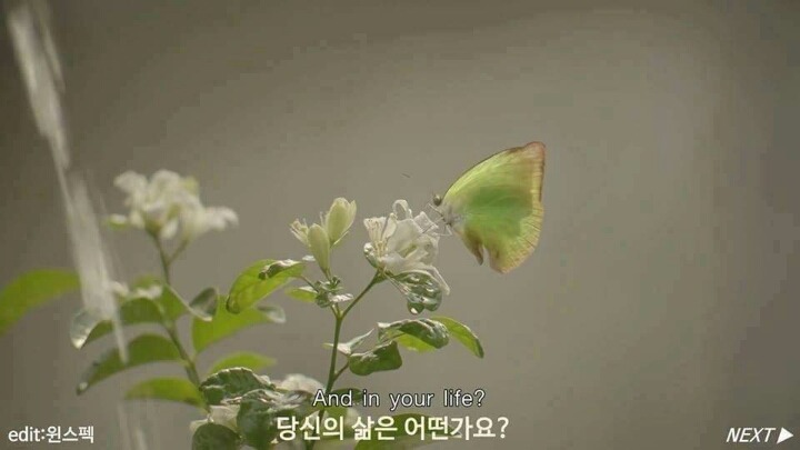전세계를 울린 태국의 공익광고 | 인스티즈