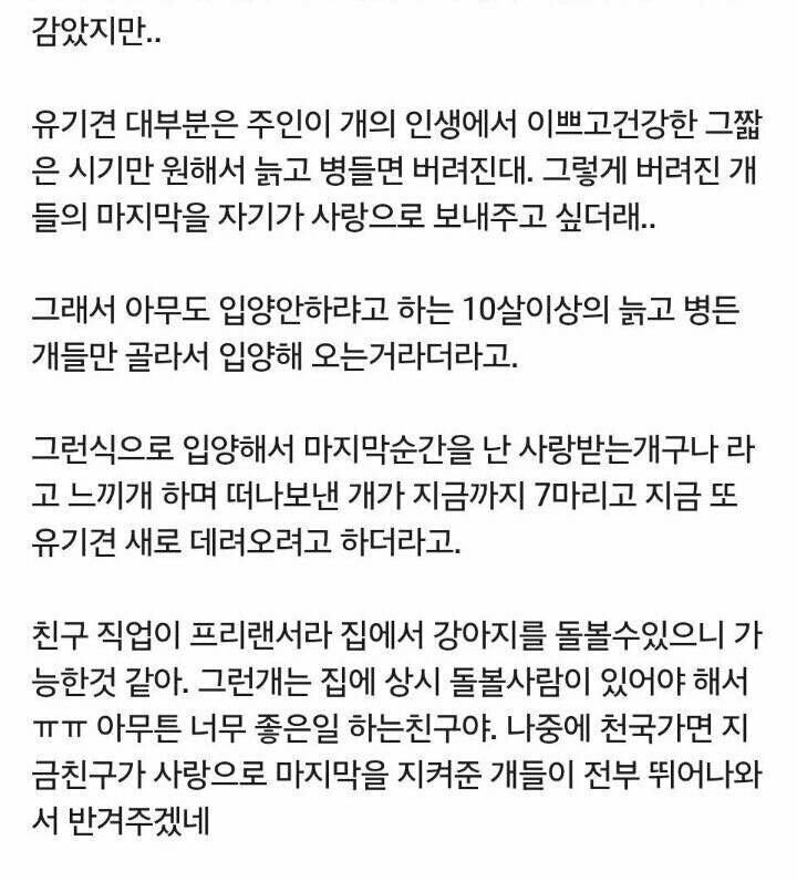 친구가 늙은개만 입양하는이유 | 인스티즈