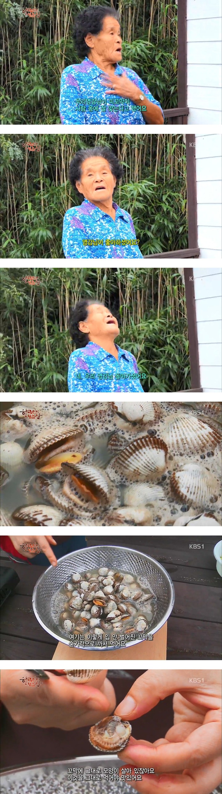한국인의 밥상 - 장도의 꼬막 요리들 - | 인스티즈