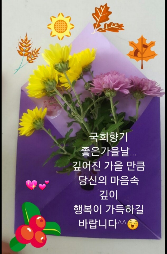 행운 이미지