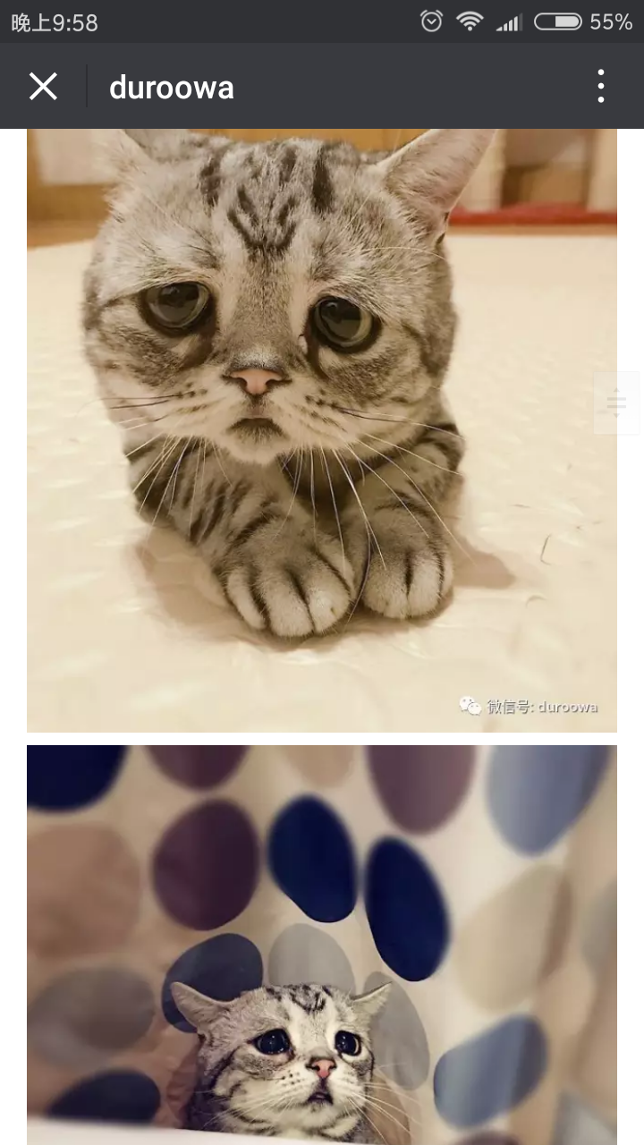 억울하다냥ㅠㅠ | 인스티즈