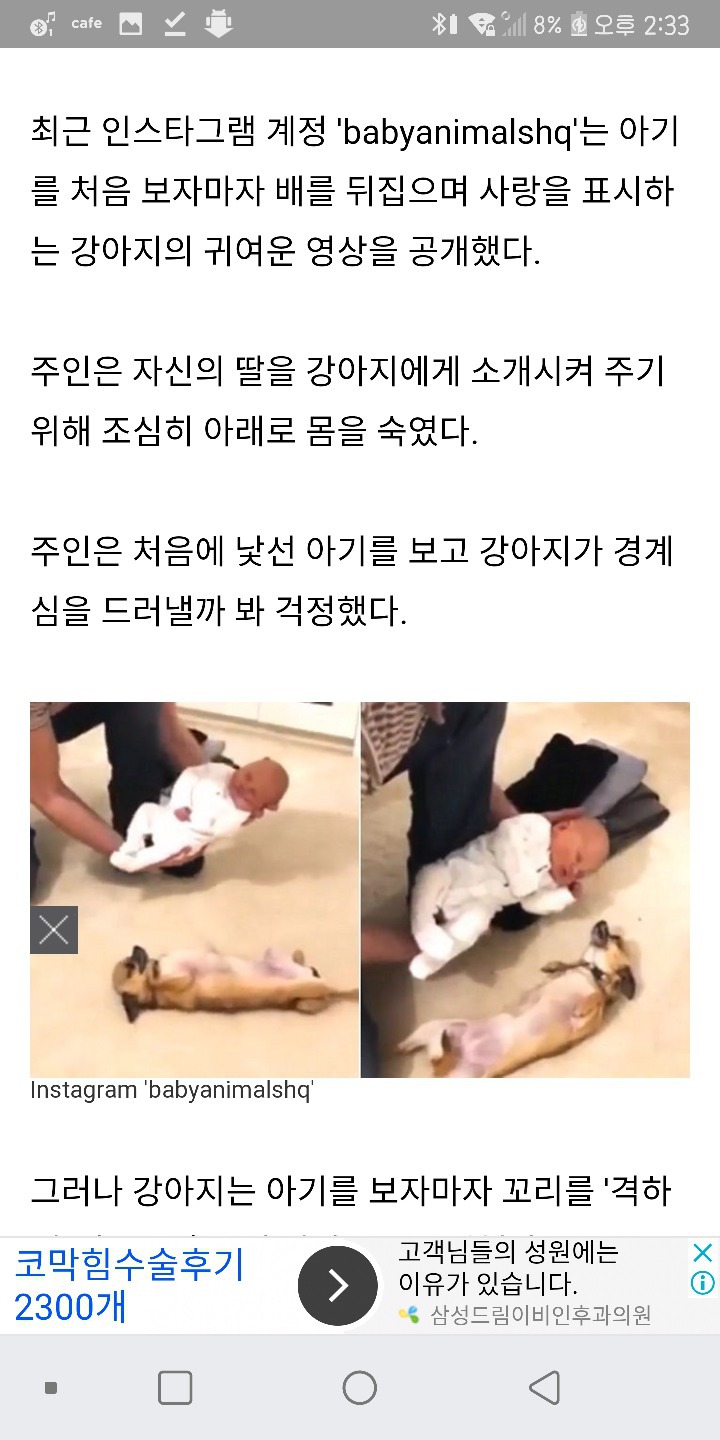 처음본 아기가 너무 귀여워 똑같이 배뒤집으며 따라한 댕댕이 | 인스티즈