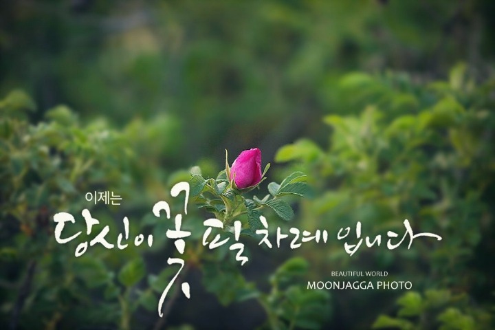꽃님 이미지