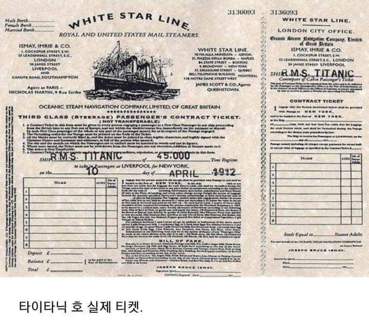 다소 놀랍고 신기한 세계의 희귀사진 | 인스티즈