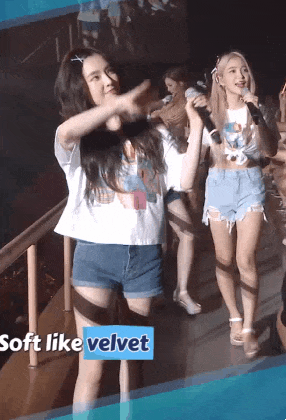 레드벨벳 콘서트 아이린.gif | 인스티즈
