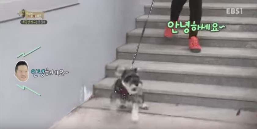 관리 못하겠으면 키우지도 마라 | 인스티즈