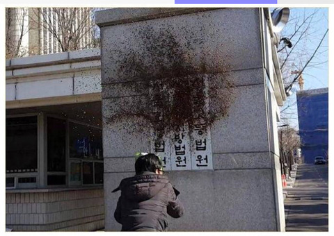 서울 고등법원에 개사료 뿌리는 시민 | 인스티즈