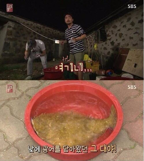 의외로 웃긴 조합 ㅋㅋㅋㅋ | 인스티즈