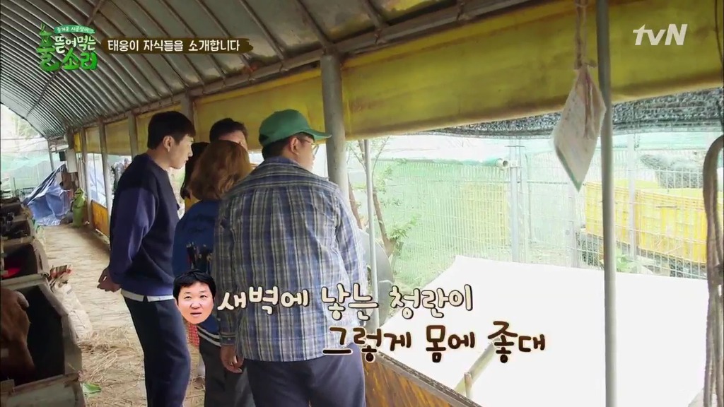 [풀뜯어먹는소리] 닭에서 시작해 소까지 살 수 있게 된 중딩농부 태웅.jpg | 인스티즈