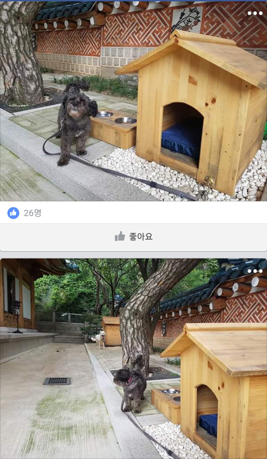 토리한테 외면당한 임종석 비서실장 | 인스티즈