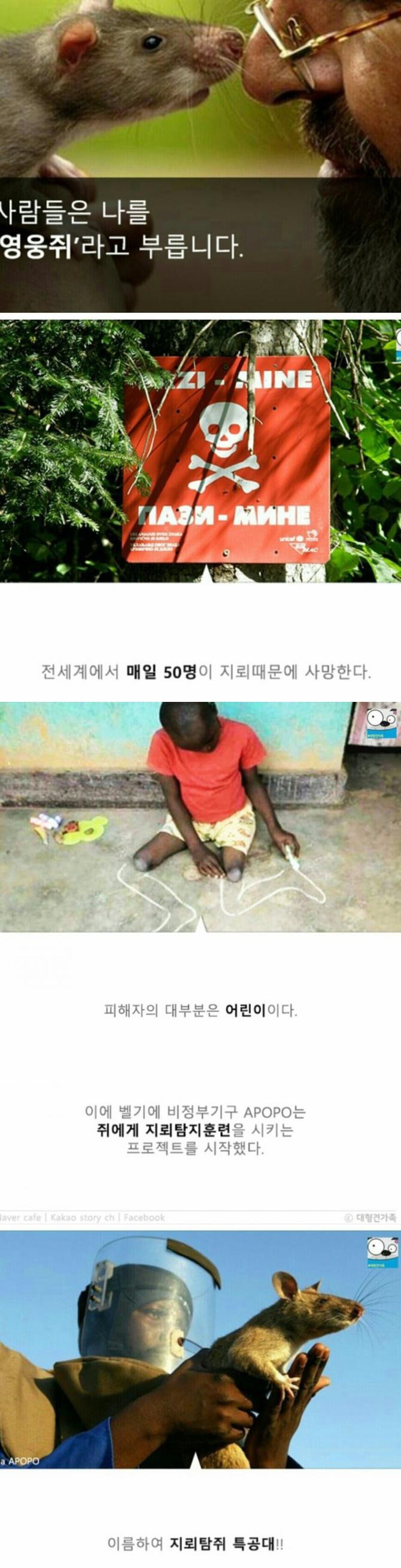 성공률100％ 사망률0％ 제거법 | 인스티즈
