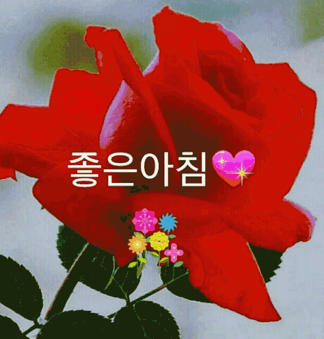 세라에너지 이미지