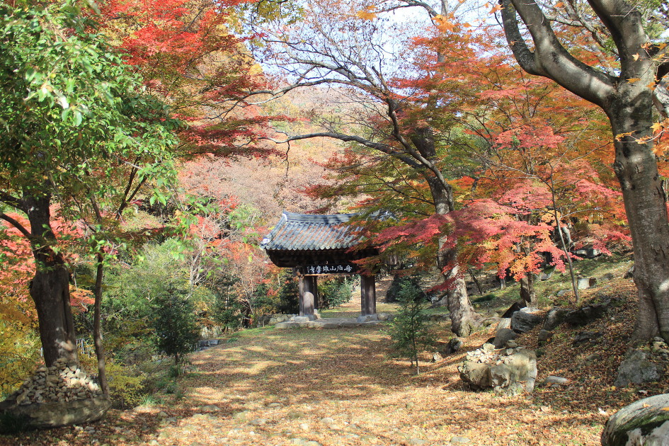 화순농협주유소 이미지