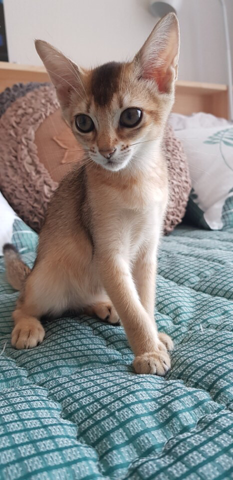 토실토실 이미지
