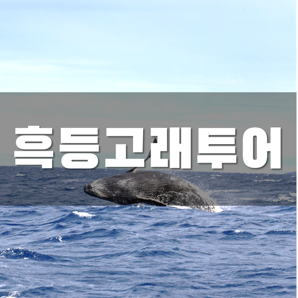 하나원투어 이미지