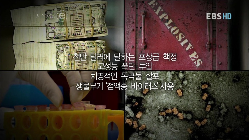 호주의 토끼전쟁 | 인스티즈