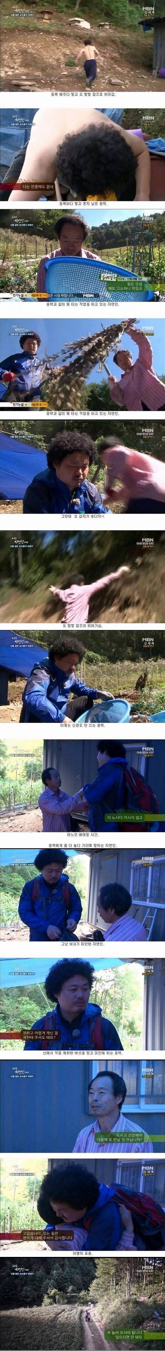 장수말벌의 천적.jpg | 인스티즈