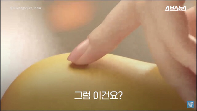 앞으로 많아졌으면 하는 광고 형식 | 인스티즈