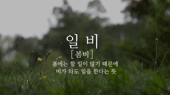 잘 모르는 이쁜 우리말2.gif | 인스티즈